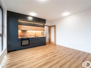 Pronájem bytu 1+kk, Kolín - Kolín III, 30 m2