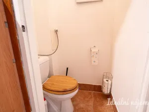 Pronájem bytu 1+1, Brno, Pekařská, 48 m2