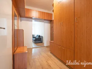 Pronájem bytu 1+1, Brno, Pekařská, 48 m2