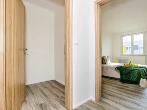 Prodej bytu 2+1, Veselí nad Lužnicí, Pod Markem, 64 m2