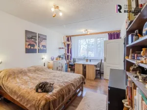 Prodej bytu 3+1, Jihlava, Březinova, 73 m2