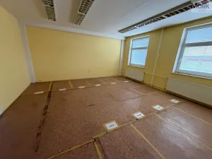 Pronájem skladu, Žatec - Velichov, 275 m2