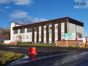 Pronájem skladu, Žatec - Velichov, 275 m2