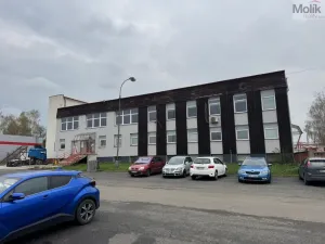 Pronájem skladu, Žatec - Velichov, 1150 m2