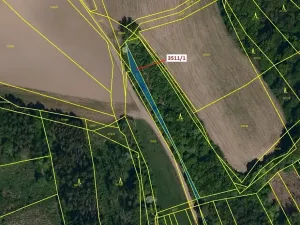 Dražba lesa, Bojkovice, 420 m2