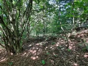 Prodej pozemku pro bydlení, Liberec - Liberec XXX-Vratislavice nad Nisou, Pod Skalkou, 5544 m2