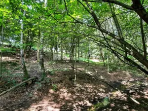 Prodej pozemku pro bydlení, Liberec - Liberec XXX-Vratislavice nad Nisou, Pod Skalkou, 5544 m2