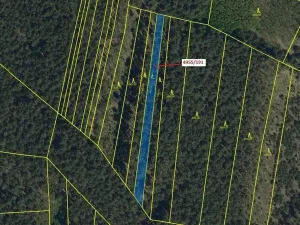 Dražba lesa, Vracov, 1174 m2