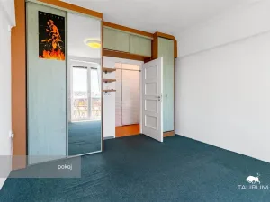 Prodej bytu 2+1, Plzeň - Východní Předměstí, Brojova, 58 m2