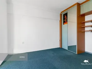 Prodej bytu 2+1, Plzeň - Východní Předměstí, Brojova, 58 m2