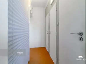 Prodej bytu 2+1, Plzeň - Východní Předměstí, Brojova, 58 m2