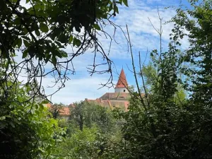 Pronájem zahrady, Křivoklát, 770 m2