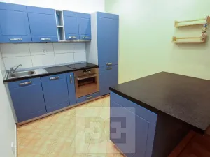 Pronájem bytu 2+kk, Praha - Holešovice, V háji, 54 m2