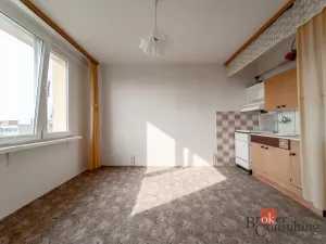 Prodej bytu 1+1, Litvínov - Horní Litvínov, Tylova, 36 m2