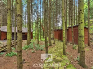 Prodej chalupy, Sudslava, 80 m2
