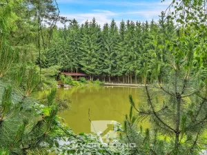 Prodej ubytování, Sudslava, 80 m2