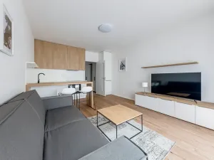 Pronájem bytu 1+kk, Praha - Karlín, Pernerova, 29 m2