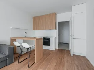 Pronájem bytu 1+kk, Praha - Karlín, Pernerova, 29 m2