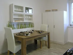 Pronájem bytu 2+kk, Ostrava, Myslbekova, 50 m2