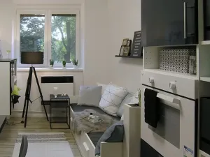 Pronájem bytu 2+kk, Ostrava, Myslbekova, 50 m2