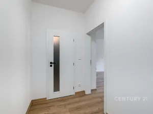 Prodej bytu 1+kk, Plzeň, Radyňská, 35 m2