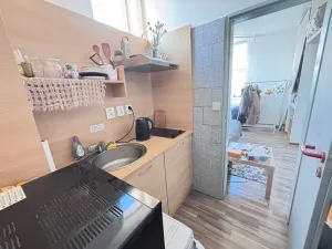 Pronájem bytu 1+1, Praha - Dejvice, Pod kaštany, 14 m2