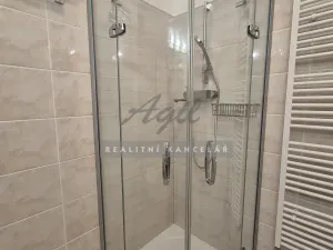 Pronájem bytu 1+kk, Brno, 50 m2