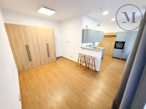 Pronájem bytu 1+kk, České Budějovice, Družstevní, 30 m2