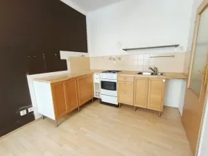 Prodej bytu 1+1, Praha - Žižkov, Žerotínova, 34 m2