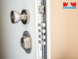 Prodej bytu 2+kk, Praha - Žižkov, Viklefova, 53 m2