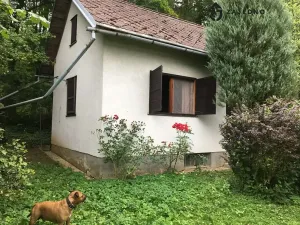 Prodej chaty, Česká, 27 m2