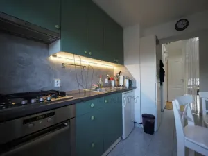 Pronájem bytu 1+1, Praha - Braník, Na Mlejnku, 41 m2