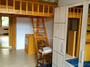 Pronájem bytu 2+kk, Praha - Nusle, Táborská, 57 m2