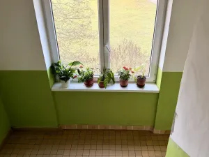 Prodej bytu 2+1, Bílina - Teplické Předměstí, Antonína Sovy, 55 m2