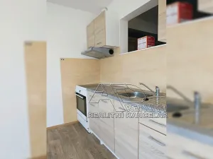 Pronájem bytu 2+kk, České Budějovice, Suchovrbenské nám., 44 m2