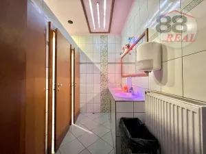 Prodej obchodního prostoru, Klášterec nad Ohří, 17. listopadu, 621 m2