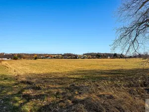 Prodej pozemku pro bydlení, Prosetín, 17829 m2