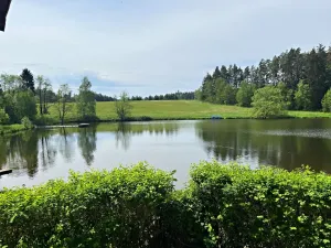 Prodej chaty, Čistá, 44 m2