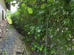Prodej rodinného domu, Bělá pod Pradědem - Domašov, 228 m2