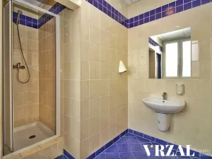 Pronájem ordinace, Plzeň, Francouzská třída, 63 m2