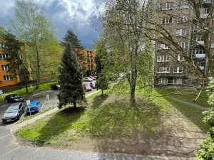 Pronájem bytu 1+kk, Ostrava - Hrabůvka, Krakovská, 21 m2