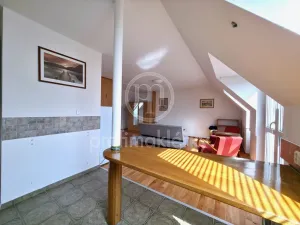 Pronájem bytu 1+kk, Bílovice nad Svitavou, Šebelova, 51 m2