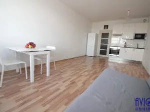 Pronájem bytu 1+kk, Praha - Vysočany, Freyova, 34 m2