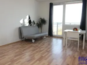 Pronájem bytu 1+kk, Praha - Vysočany, Freyova, 34 m2