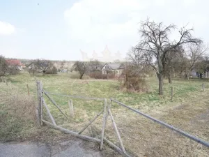 Prodej pozemku pro bydlení, Brzice - Proruby, Brzice, 1 m2