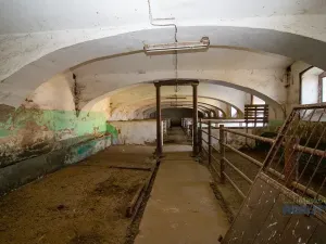 Prodej zemědělské usedlosti, Kojetice, 1113 m2