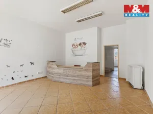 Prodej obchodního prostoru, Louny, Husova, 744 m2