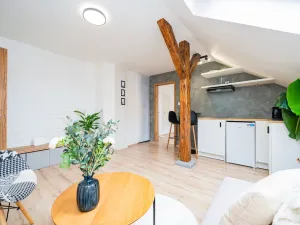 Prodej bytu 2+kk, Praha - Žižkov, 36 m2