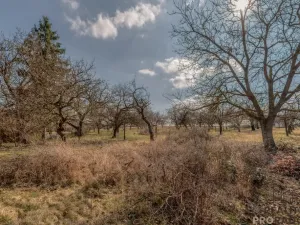 Prodej pozemku pro bydlení, Skalice, 1000 m2