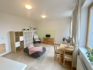 Pronájem bytu 1+kk, Dobřichovice, 5. května, 34 m2